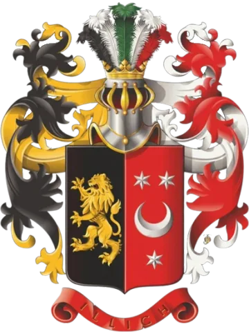 Велики грб — Илић